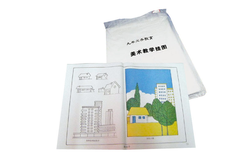 LS-MS-18 美術(shù)教學掛圖